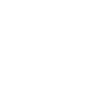 Window icon